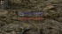 cw_1591_1