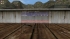 cw_1593_1