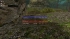 cw_1597_3