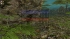 cw_1599_1