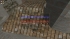 cw_1600_1