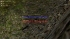 cw_1603_1