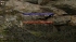cw_1607_3