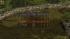 cw_1611_1