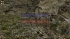 cw_1615_2
