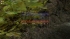 cw_1618_3