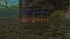 cw_1621_3