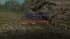 cw_1625_3