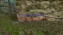cw_1635_4