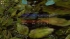 cw_1644_3