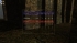 cw_1653_2