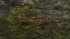 cw_1653_4