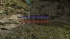 cw_1664_1