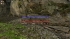 cw_1672_3