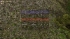 cw_1676_3