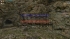 cw_1684_3