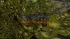 cw_1684_4