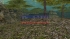 cw_1698_3