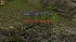 cw_1700_3