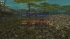 cw_1707_3