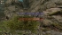 cw_1713_1