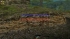cw_1715_4