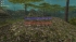 cw_1753_1