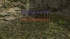 cw_1768_3