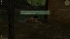 Chaos_Zapas1_CheckpointUS