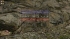 cw_1806_1